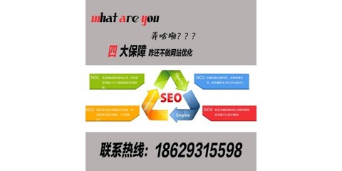 seo网站优化,西安奇搜网络,蓝田网站优化